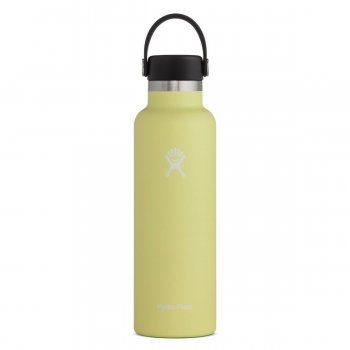 Gourde Hydro Flask 21 oz Standard Mouth 621ml - montisport.fr