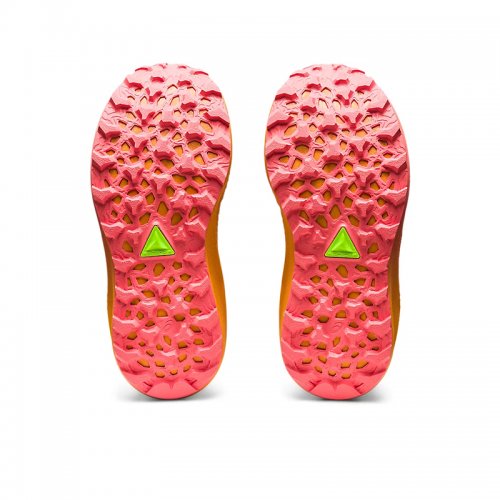 Chaussures Trail Femme Asics Trabuco Max 2 - montisport.fr