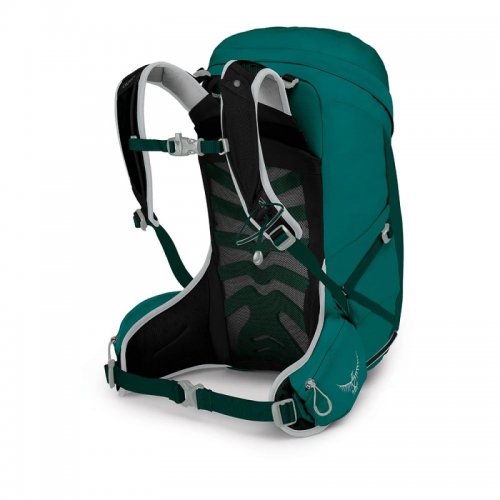 Sac à Dos Randonnée Femme Osprey Tempest 24L - montisport.fr