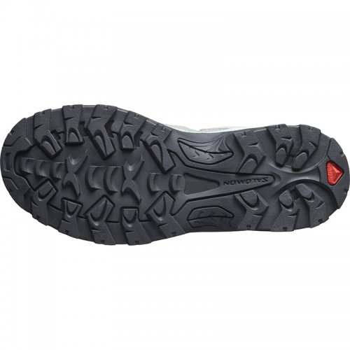 Chaussures Randonnée Femme Salomon Quest Rove GTX - montisport.fr