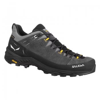 Chaussures Randonnée Homme Salewa Alp Trainer 2 GTX - montisport.fr