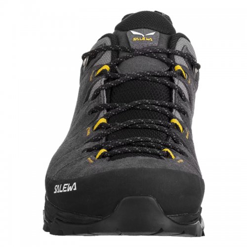 Chaussures Randonnée Homme Salewa Alp Trainer 2 GTX - montisport.fr