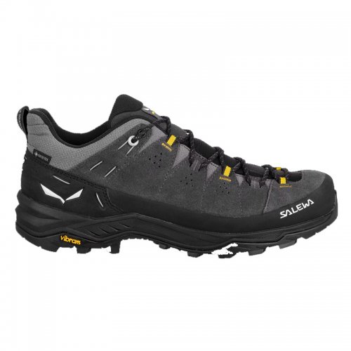 Chaussures Randonnée Homme Salewa Alp Trainer 2 GTX - montisport.fr