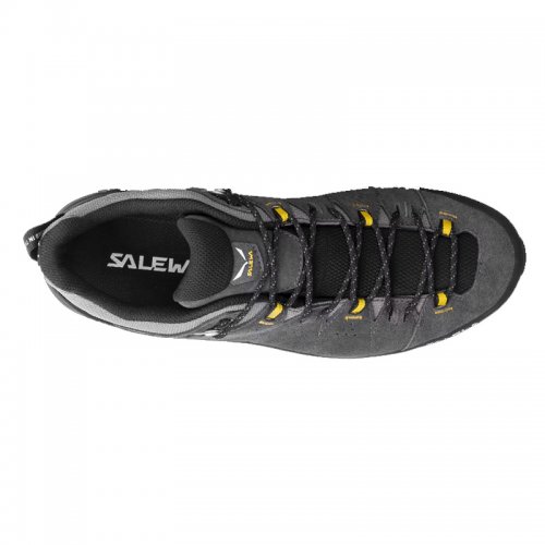 Chaussures Randonnée Homme Salewa Alp Trainer 2 GTX - montisport.fr