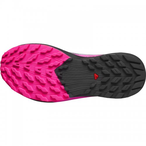 Chaussures Running / Trail Homme Salomon Sense Ride 5 - montisport.fr
