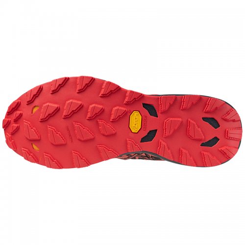 Chaussures Trail Homme Mizuno Wave Daichi 8 - montisport.fr