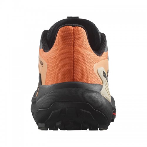 Chaussures Trail Homme Salomon S/Lab Genesis - montisport.fr