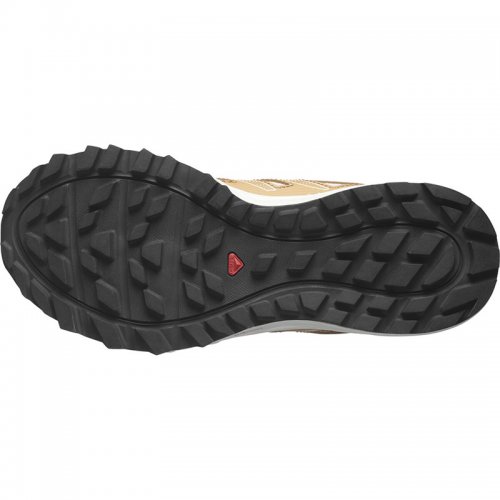 Chaussures Trail Femme Salomon Wander - montisport.fr