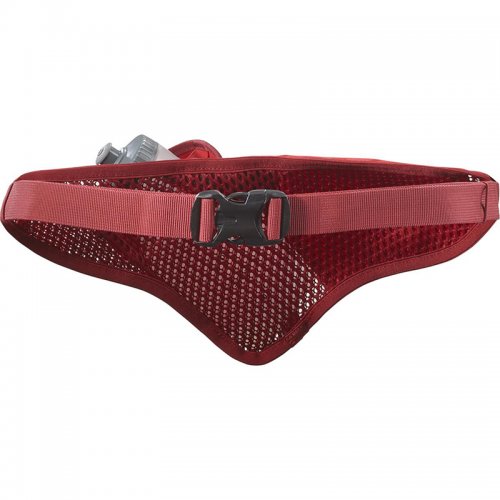 Ceinture Running / Trail Salomon Active Belt 3D