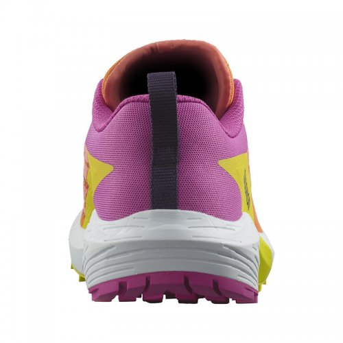 Chaussures Running / Trail Femme Salomon Sense Ride 5 - montisport.fr