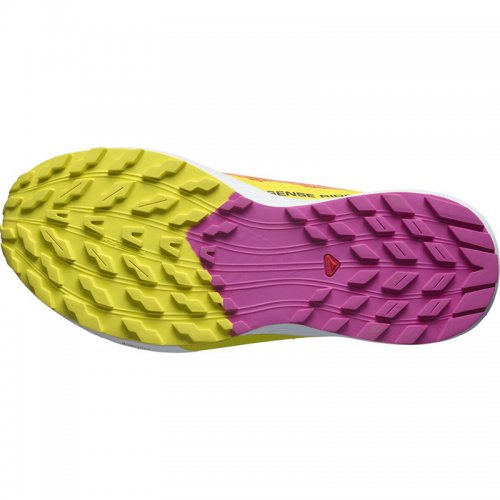 Chaussures Running / Trail Femme Salomon Sense Ride 5 - montisport.fr