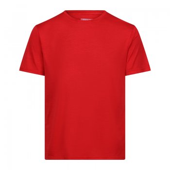 T-Shirt Randonnée Homme Regatta Fingal - montisport.fr
