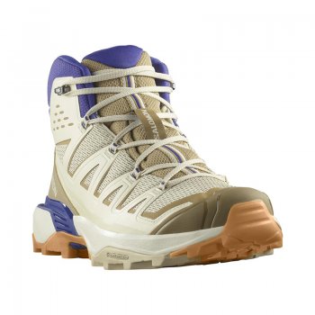 Chaussures Randonnée Homme Salomon X Ultra 360 Edge Mid GTX - montisport.fr