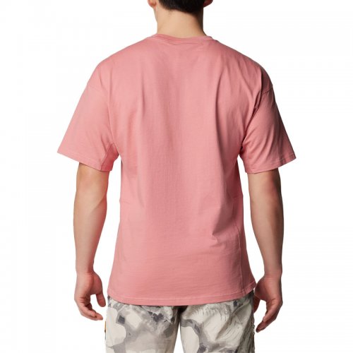 T-Shirt Randonnée Homme Columbia Painted Peak - montisport.fr