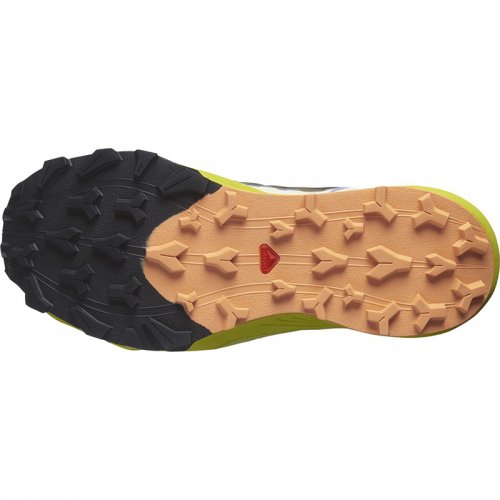 Chaussures Trail Femme Salomon Thundercross - montisport.fr