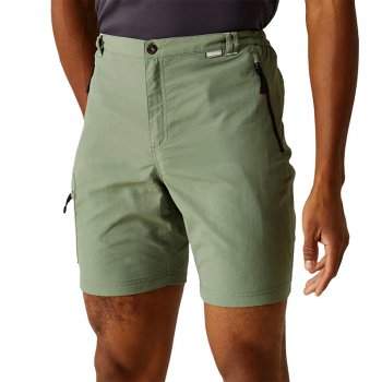 Short Randonnée Homme Regatta Leesville II - montisport.fr