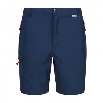Short Randonnée Homme Regatta Leesville II - montisport.fr