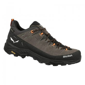 Chaussures Randonnée Homme Salewa Alp Trainer 2 GTX - montisport.fr