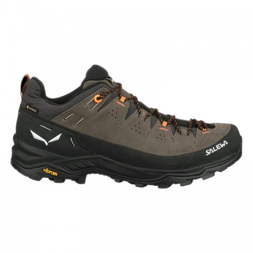 Chaussures Randonnée Homme Salewa Alp Trainer 2 GTX - montisport.fr