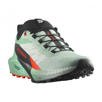 Chaussures Running / Trail Femme Salomon Sense Ride 5 - montisport.fr