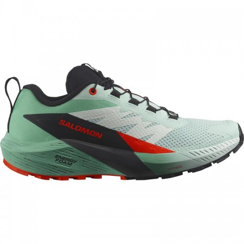 Chaussures Running / Trail Femme Salomon Sense Ride 5 - montisport.fr
