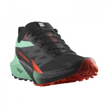 Chaussures Running / Trail Homme Salomon Sense Ride 5 - montisport.fr