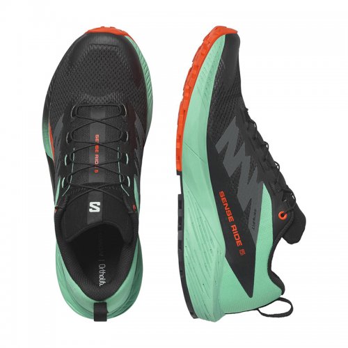 Chaussures Running / Trail Homme Salomon Sense Ride 5 - montisport.fr