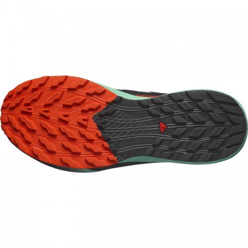 Chaussures Running / Trail Homme Salomon Sense Ride 5 - montisport.fr