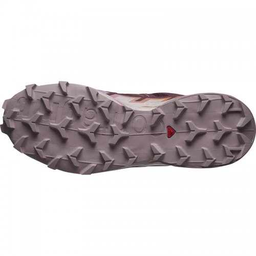 Chaussures Trail Femme Salomon Speedcross 6 - montisport.fr