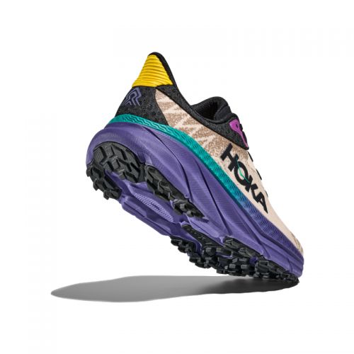 Chaussures Trail Homme Hoka Challenger ATR 7 OMN - montisport.fr
