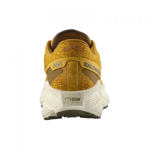 Chaussures Gravel Running Homme Salomon Aero Glide 3 GRVL - montisport.fr