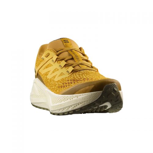 Chaussures Gravel Running Homme Salomon Aero Glide 3 GRVL - montisport.fr