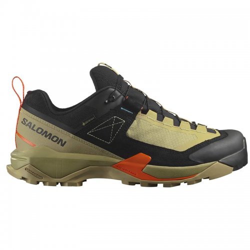Chaussures Randonnée Homme Salomon X Ultra Alpine GTX