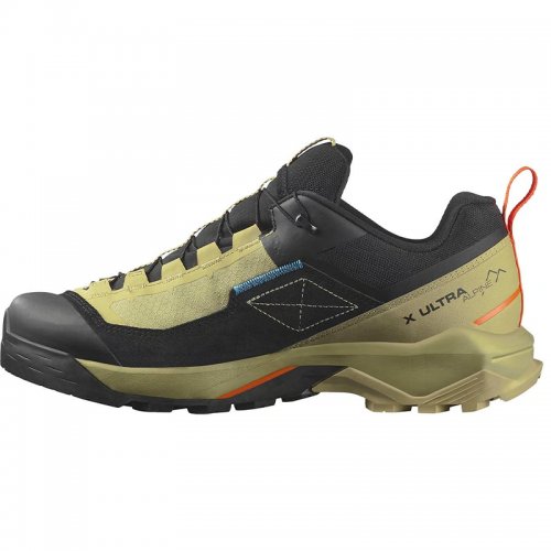Chaussures Randonnée Homme Salomon X Ultra Alpine GTX
