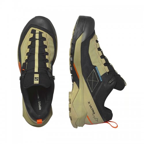 Chaussures Randonnée Homme Salomon X Ultra Alpine GTX
