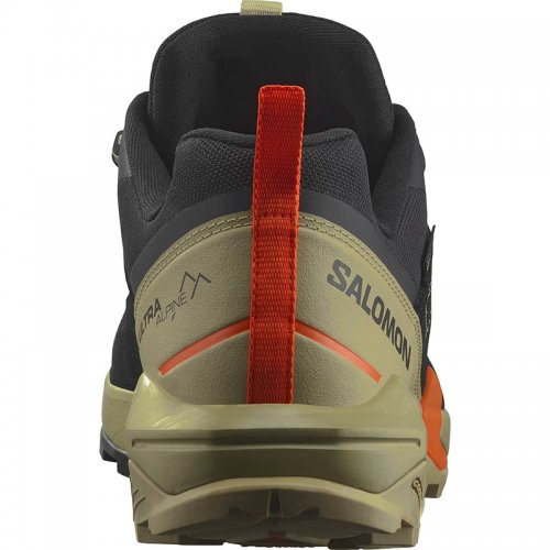 Chaussures Randonnée Homme Salomon X Ultra Alpine GTX