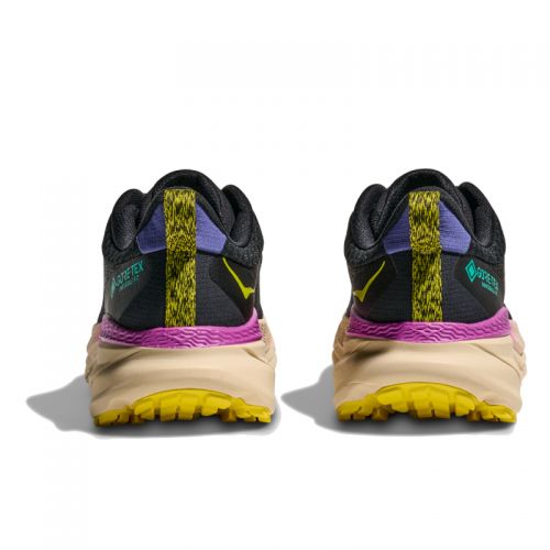 Chaussures Trail Homme Hoka Challenger ATR 7 GTX