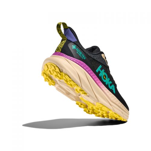 Chaussures Trail Homme Hoka Challenger ATR 7 GTX