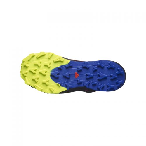 Chaussures Trail Homme Salomon Thundercross GTX - montisport.fr