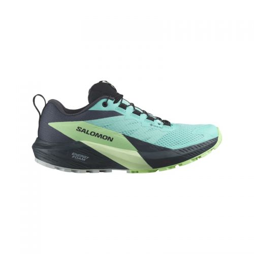 Chaussures Running / Trail Femme Salomon Sense Ride 5