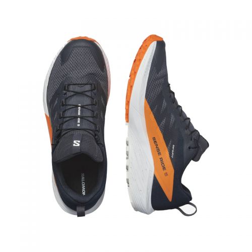 Chaussures Running / Trail Homme Salomon Sense Ride 5 GTX - montisport.fr