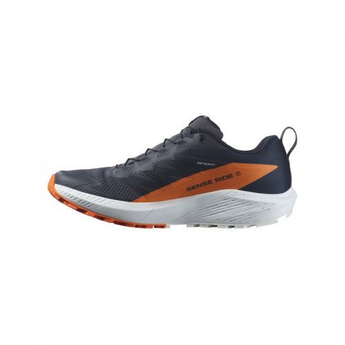 Chaussures Running / Trail Homme Salomon Sense Ride 5 GTX - montisport.fr