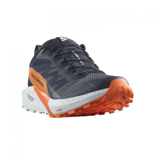 Chaussures Running / Trail Homme Salomon Sense Ride 5 GTX - montisport.fr