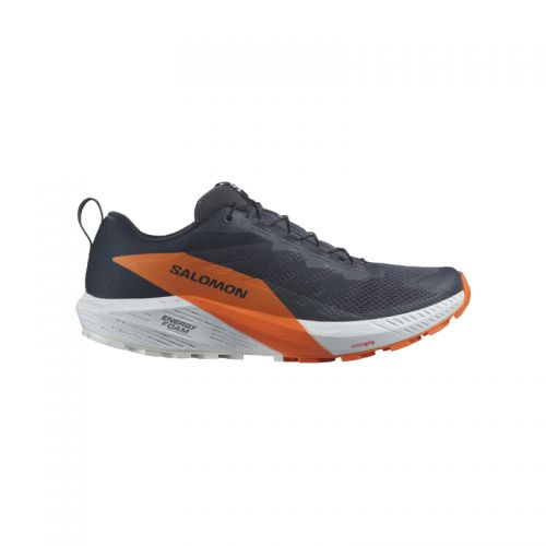 Chaussures Running / Trail Homme Salomon Sense Ride 5 GTX - montisport.fr