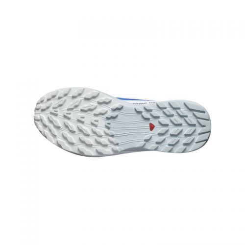 Chaussures Running / Trail Homme Salomon Sense Ride 5