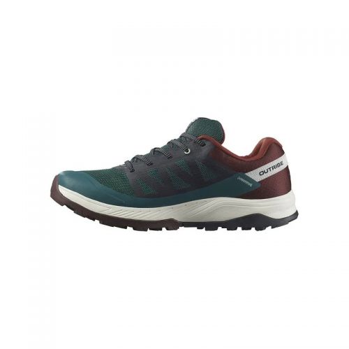 Chaussures Running / Trail Homme Salomon Outrise GTX
