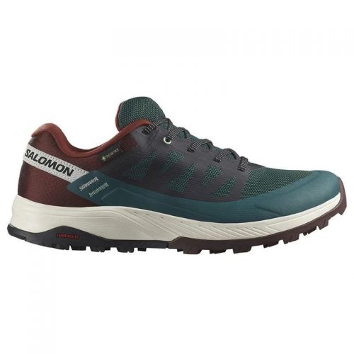 Chaussures Running / Trail Homme Salomon Outrise GTX