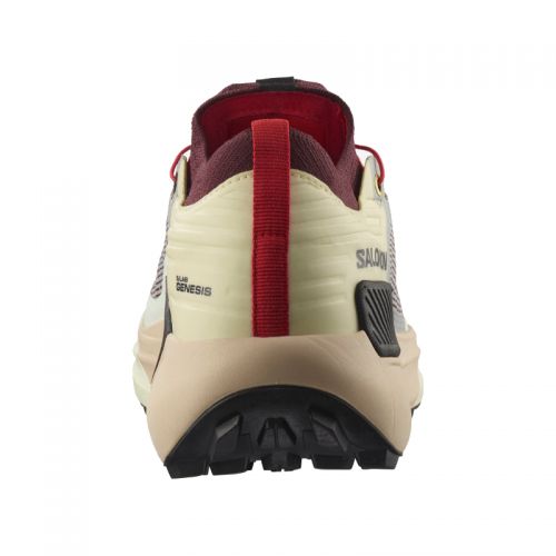 Chaussures Trail Homme Salomon S/Lab Genesis