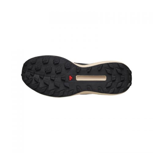 Chaussures Trail Homme Salomon S/Lab Genesis