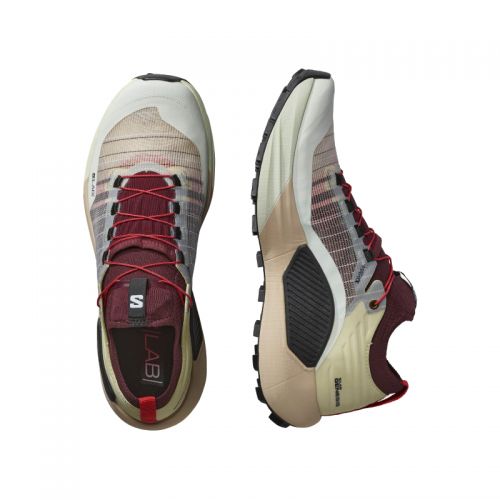 Chaussures Trail Homme Salomon S/Lab Genesis